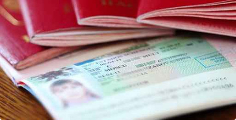 Visa support